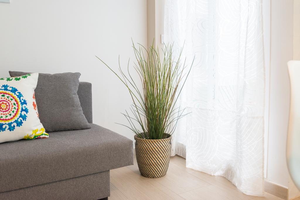 Pena City Center Apartment マラガ エクステリア 写真